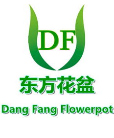 义乌市东红塑料制品厂——从源头到远方 品质与服务的双轨同行