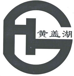 赤壁市黄盖湖水产品加工厂与工商风险信息管理——以李洋为例的分析